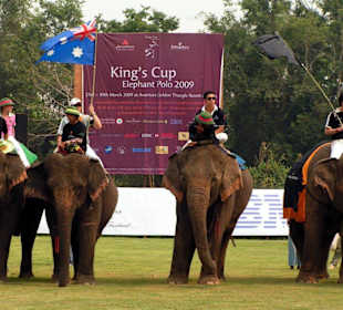 King´s Cup Elephant Polo