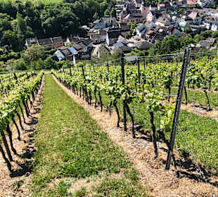 Wandern Oberheimbach