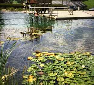 Wandern St. Veit im Pongau