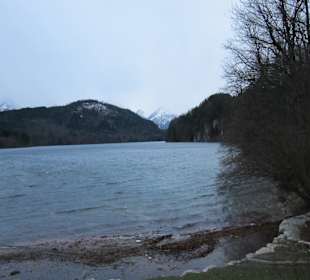 Alpsee unterhalb des Schlosses