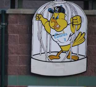 Welcome to the Birdcage, Name des Stadions