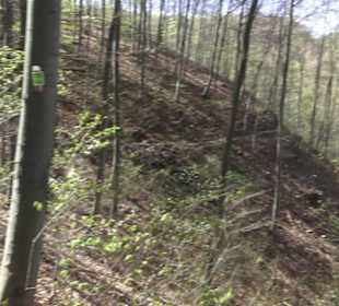 Wanderweg Hochgehkämpft