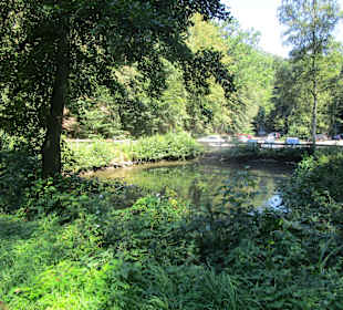  Waldgaststätte Kaltenbrunner Tal