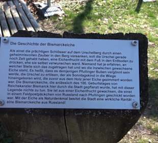 Bismarckeiche