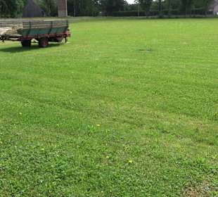 Sportplatz Dettlingen