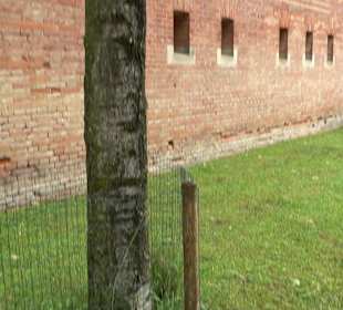 Baumlehrpfad Glacis Park