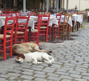 Mittagsruhe im Hafen