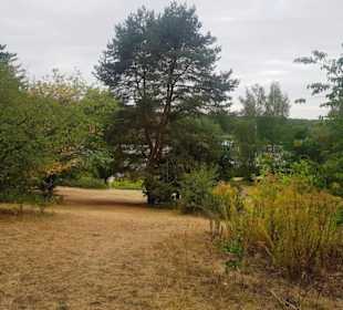 Blick runter Liegebereich 