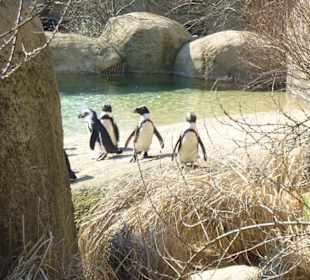 Zoo Wuppertal
