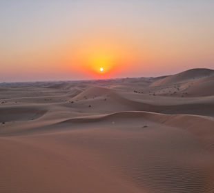 Wüstentour Abu Dhabi