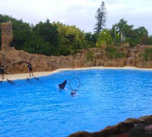 Ausflüge. Loro Park