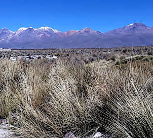 Ausblick vom Restaurant