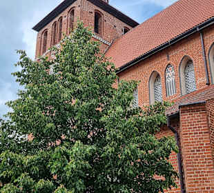 Stadtkirche