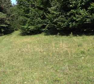 Wacholderheide Sternberg