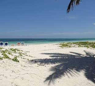Cayo Levisa
