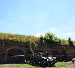 Muzeum 