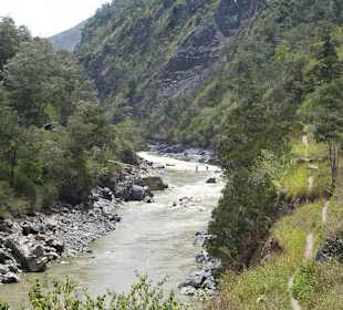 Potok płynący w Dolinie Baliem