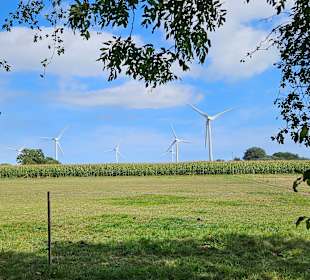 Wandern Fehmarn