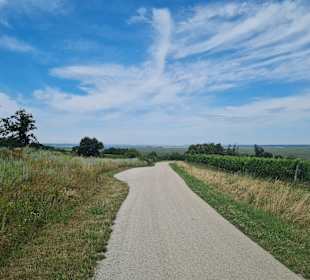 Wandern Mörbisch am See