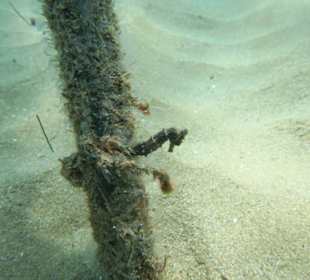 In der Bucht von Sosua 