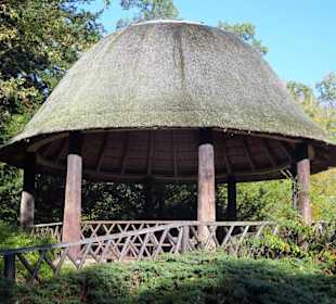 Herbstspaziergang durch den Schlosspark Lütetsburg