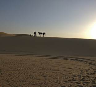 Wüstentour Abu Dhabi