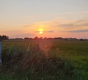 Wandern Emmelsbüll-Horsbüll
