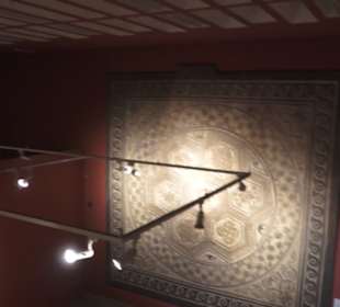 Rheinisches Landesmuseum 