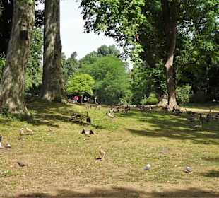 Rundgang durch den Hofgarten Düsseldorf