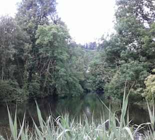 Der Chäsiweiher bei trübem Wetter