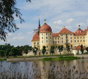 Schloss Moritzburg