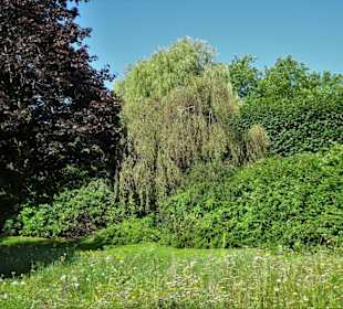 Spaziergang durch den Stadtpark Flensburg