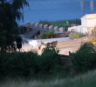 Blick von der Schlossterrasse