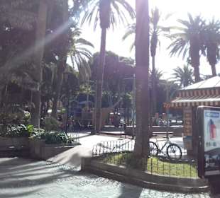 Plaza del Charco in Puerto de la Cruz