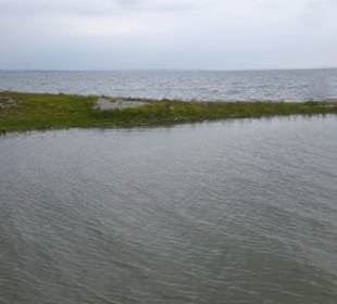 Mündungsgebiet vom Alten Rhein in den Bodensee
