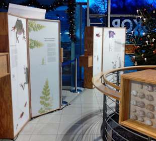  Burgruine Lichtenberg Thallichtenberg Geoskop