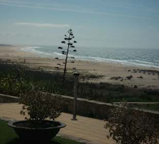 Der Blick zum Strand