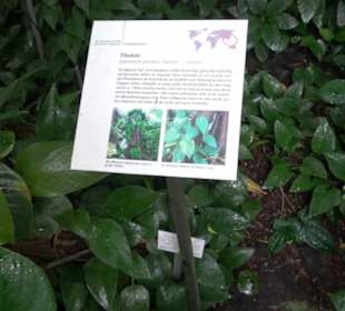 Tropicarium