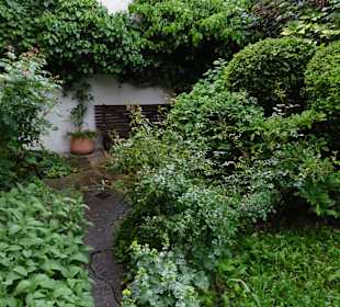 Suso-Haus Garten
