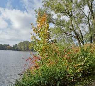 Rundgang um den Drielaker See