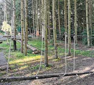 Wsg72 - niederer Parcour