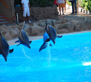 Loro Parque