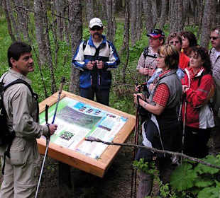 Wanderung am Bacherlebnisweg im Pöllatal
