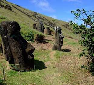Rano Raraku
