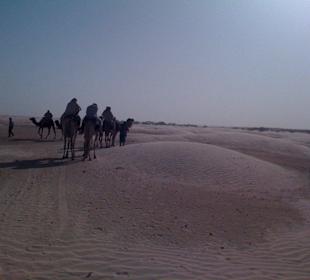 Kamelritt in der Sahara