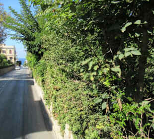 Mit dem Hop Bus in Rhodos Stadt unterwegs