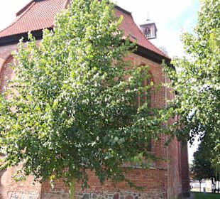 Außenansicht vom Osten