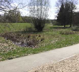 Sport- und Freizeitpark Markwasen