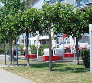 Strandkörbe an der Uferpromenade