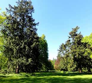 Spaziergang durch Muhles Park